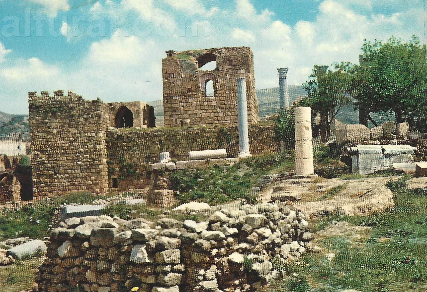 Byblos - the Castle and the Phoenician Tombs 492 جبيل