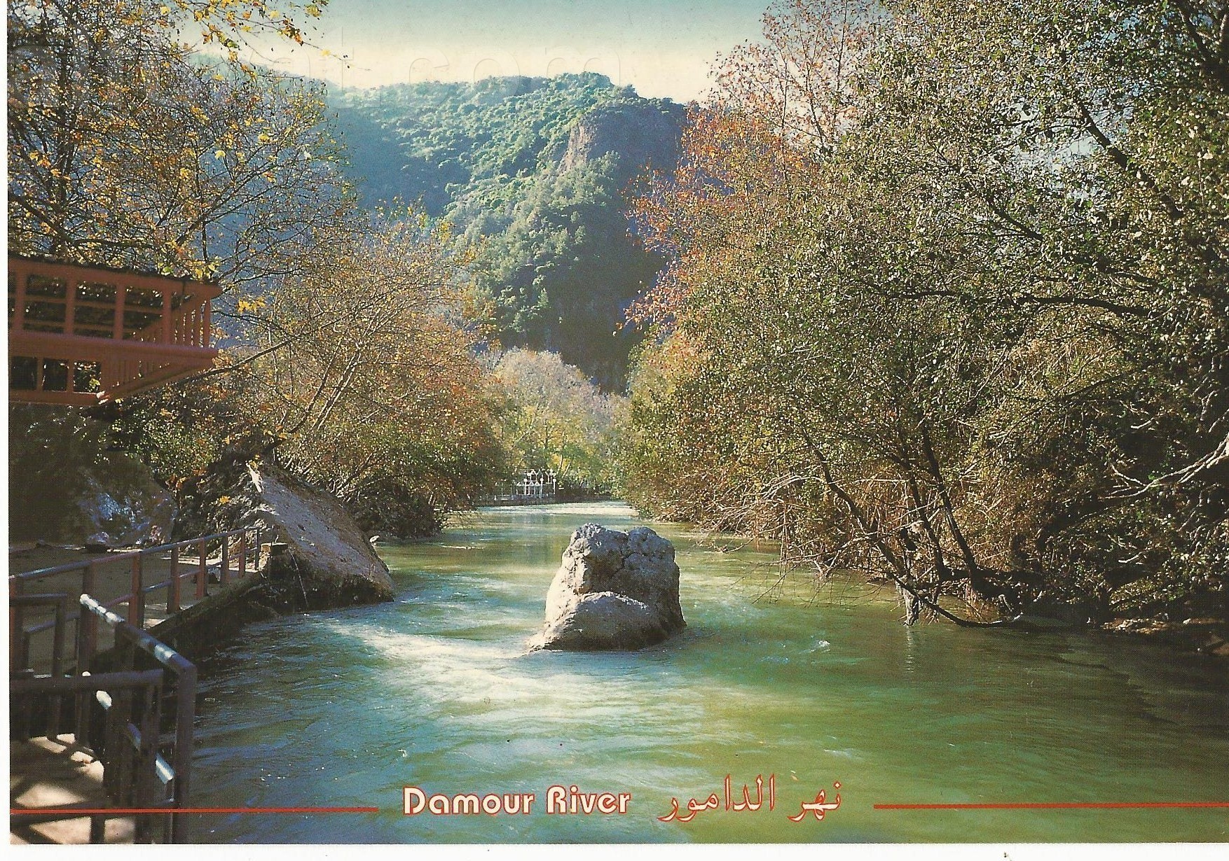 Damour River C877 نهر الدامور