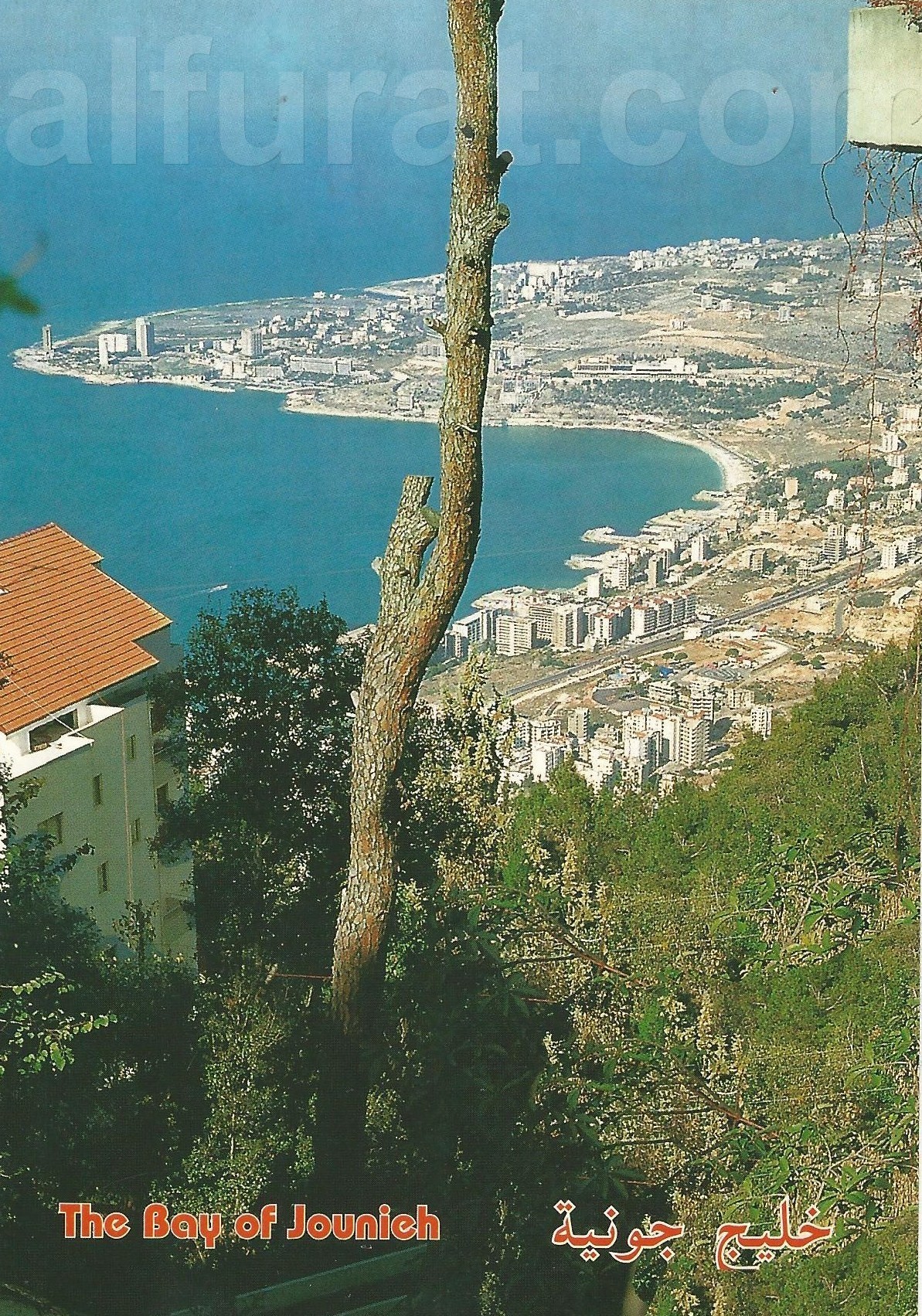 Jounieh - The Bay of Jounieh C944   جونيه