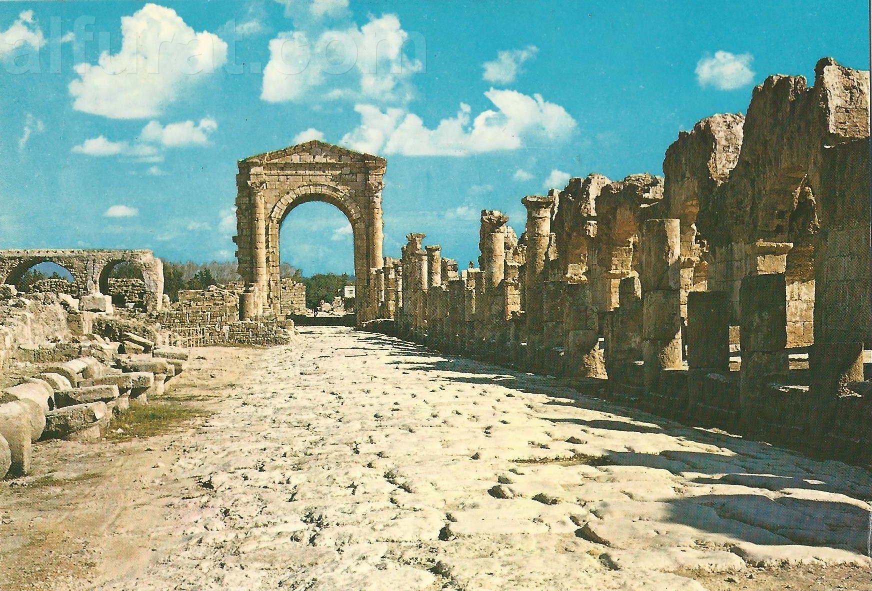 Tyre - The Arch of Triunph 172  صور