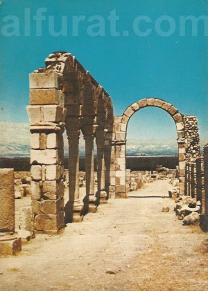 Anjar -  Remains of the Market Place 32