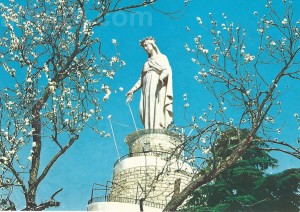 Our Lady of Lebanon C 978 حريصا
