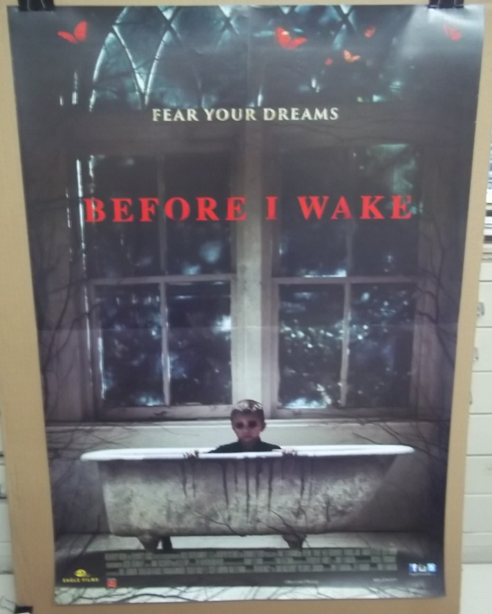 Before I Wake