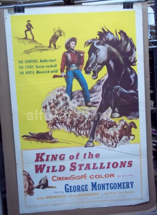 King of the Wild Stallions