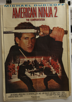 American Ninja 2: The Confrontation