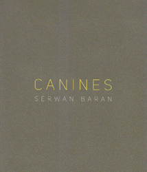 Serwan Baran Canines