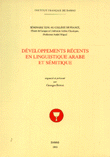 Developpements recents en linguistique arabe et semitique