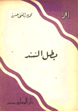 بطل السند