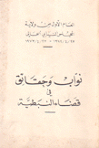 نواب وحقائق في قضاء النبطية