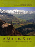 A million Steps