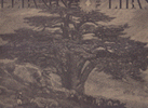 Lebanon Liban