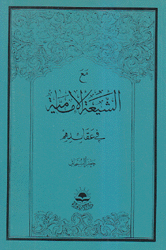 مع الشيعة الإمامية في عقائدهم