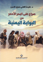 صراع على البحر الأحمر من البوابة اليمنية