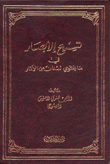 تسريح الأبصار في ما يحتوي لبنان من الآثار