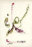 سهران نهار