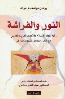 النور والفراشة