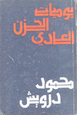 يوميات الحزن العادي