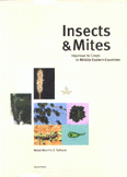 Insects & Mites
