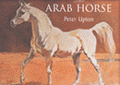 The Arab Horse