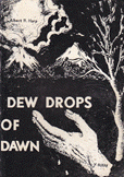 Dew Drops of dawn
