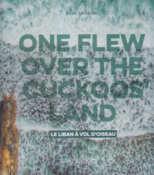 one flew over the cuckoos land