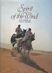 Spirit of the Wind the Horse in Saudi Arabia