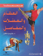 العظام والعضلات والمفاصل
