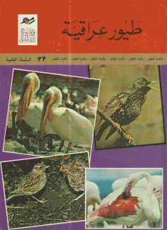 طيور عراقية